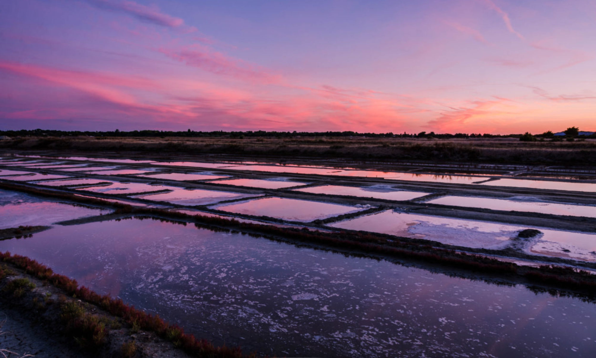 ILE DE RÉ : LES MARAIS DU FIERS D’ARS – PARADIS DES OISEAUX