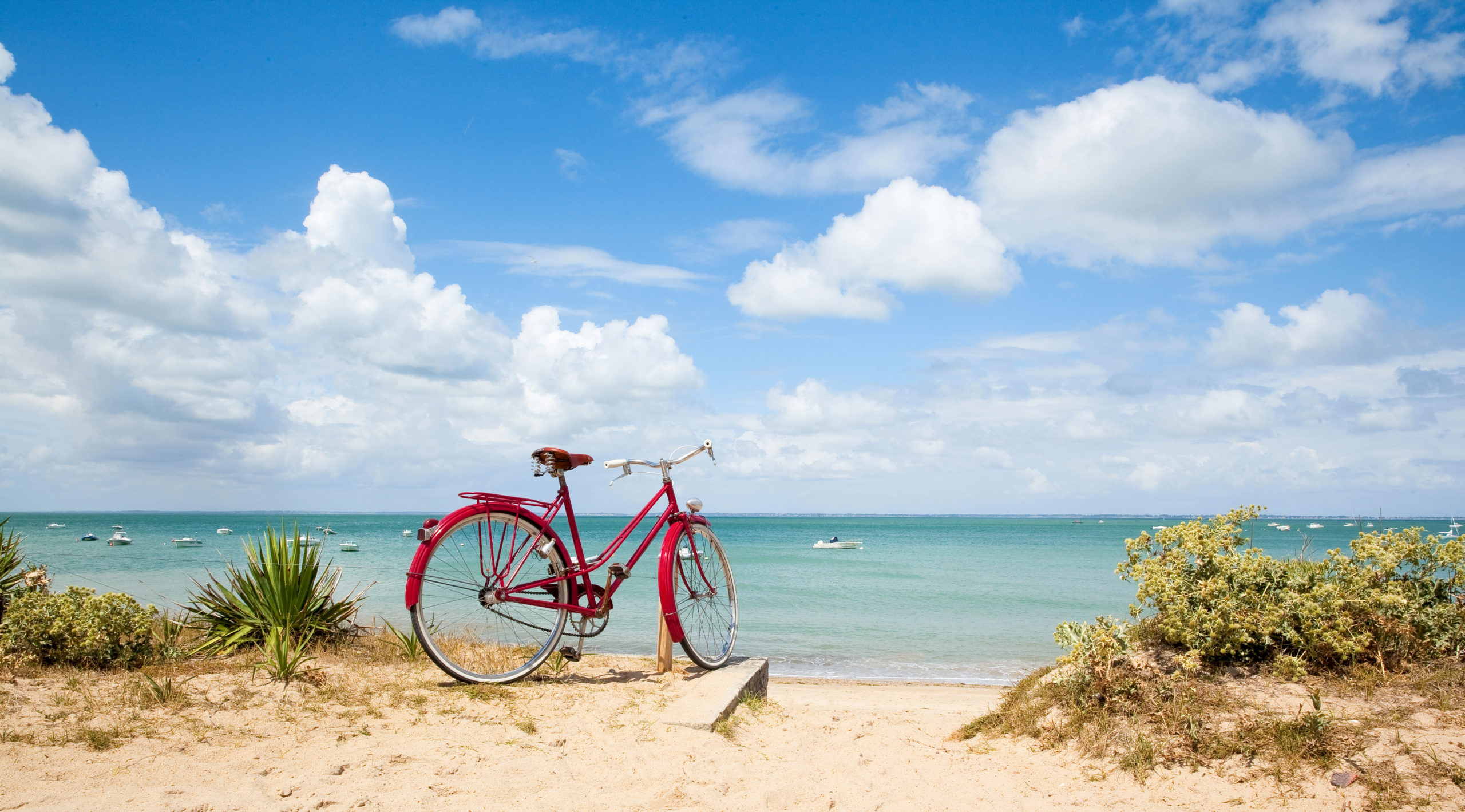 VISITER l’ÎLE DE RÉ À VÉLO : UN RÊVE DE CHARME ET D’OCÉAN